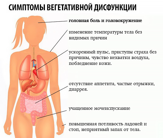 Вегетососудистая дистония (ВСД): симптомы, диагностика и лечение