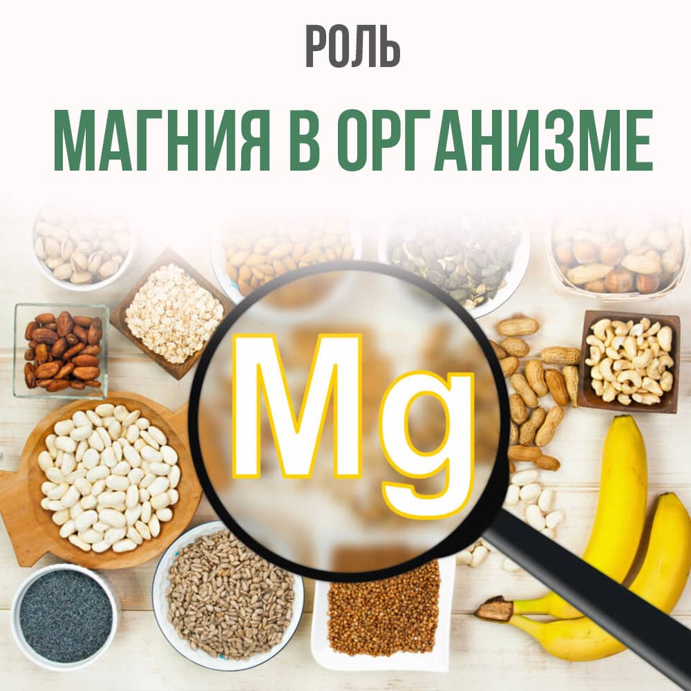 К чему приводит дефицит магния в организме?