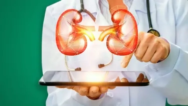 Частое мочеиспускание у мужчин: причины, диагностика и лечение