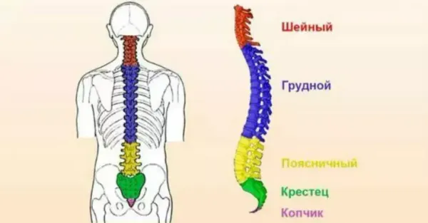 Как лечить остеохондроз?