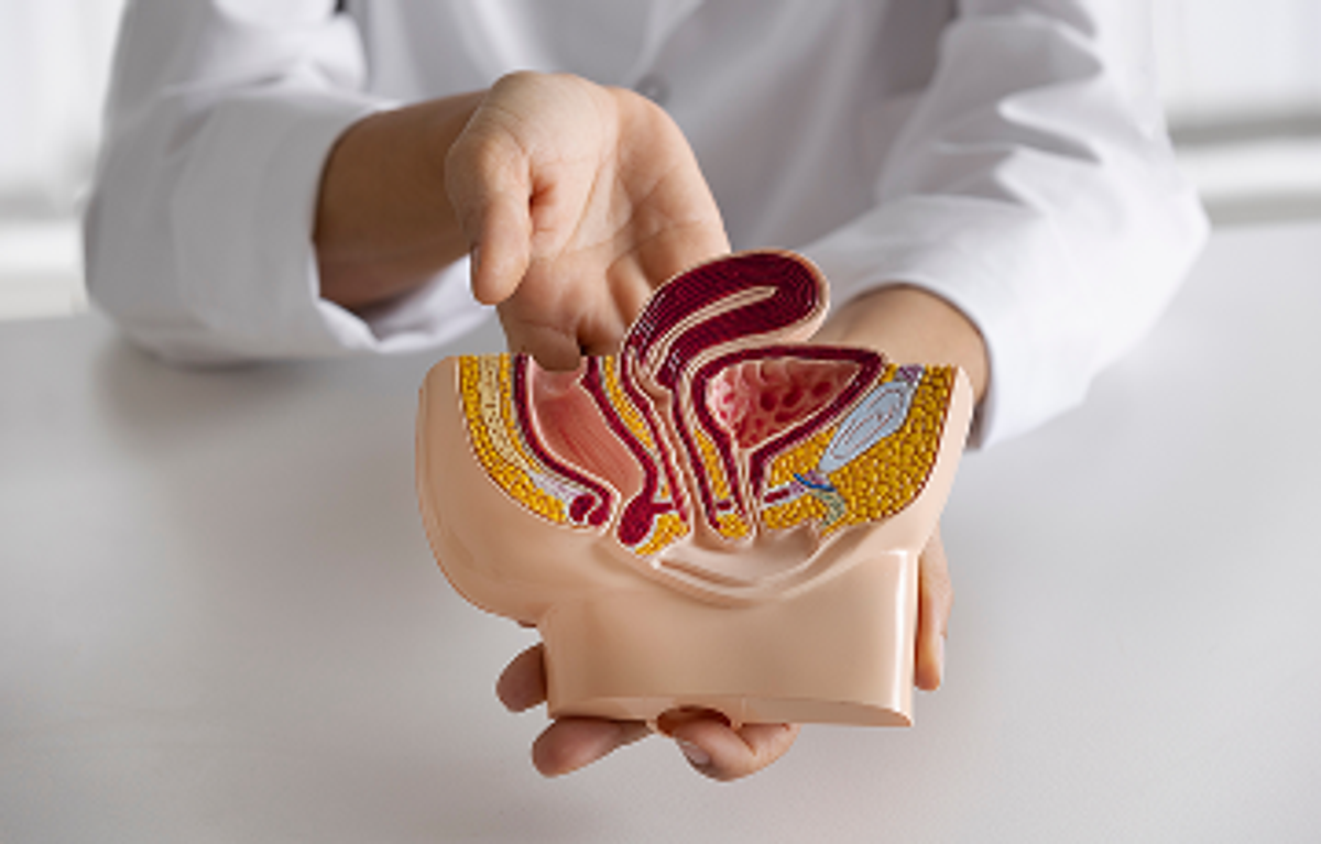 Физиоаппараты для лечения простатита: эффективное решение для поддержания мужского здоровья